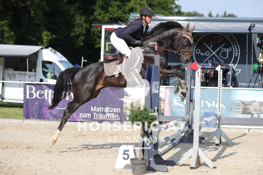 0P6A5997 | Willkommen bei Brunnmayr - Design & Fotografie – Ihrem Spezialisten für Reitturniere und Pferdeveranstaltungen in Oberösterreich, Salzburg und Bayern! Seit über 17 Jahren sind wir leidenschaftlich dabei.