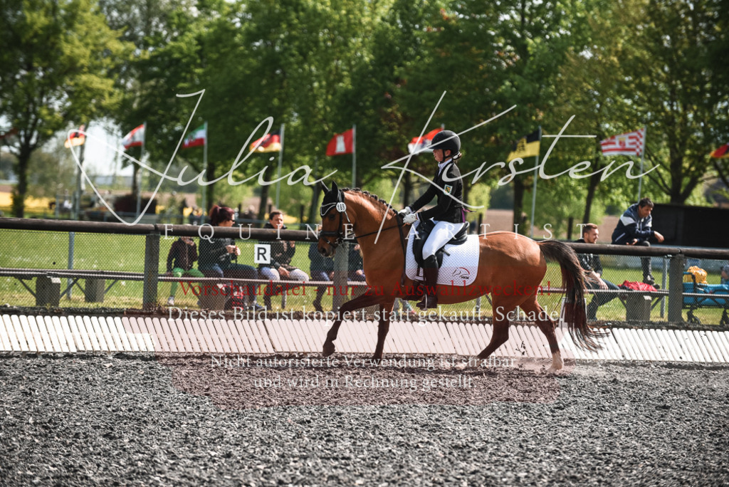 DSC_8999 | Pferde- und Turnierfotografie in Westsachsen. Pferdeportraits, Auftragszeichnungen und intuitive Kunst.