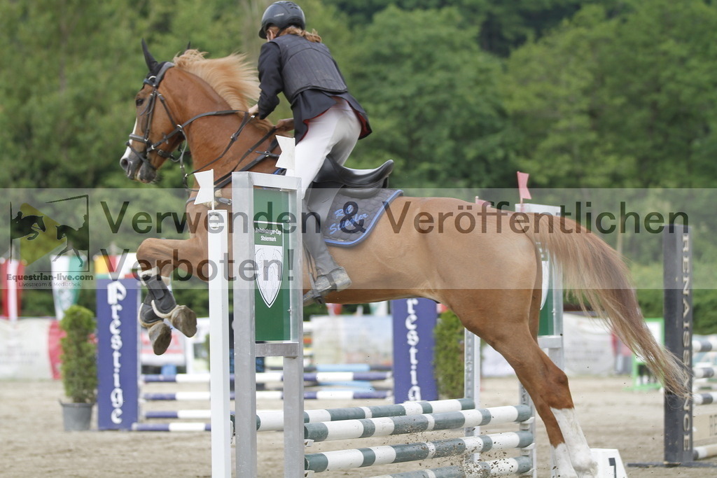 _MG_4262 | equestrian-live-com