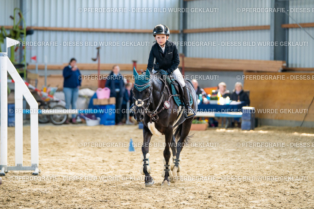 DSC01691 | Pferdegrafie