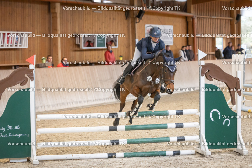 _D5A7086 | Emotionale Pferde- & People-Fotografie rund um Heidelberg, Leimen & Umgebung. Natürliche Fotos von Pferd, Mensch & Familie. Jetzt Termin sichern!