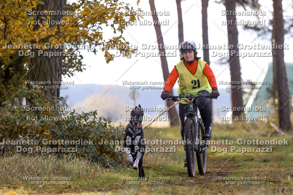 Dog Paparazzi - Elsholz 25 -100 | Dog Paparazzi Jeanette Grottendiek Fotografie & Videografie - Realisiert mit Pictrs.com