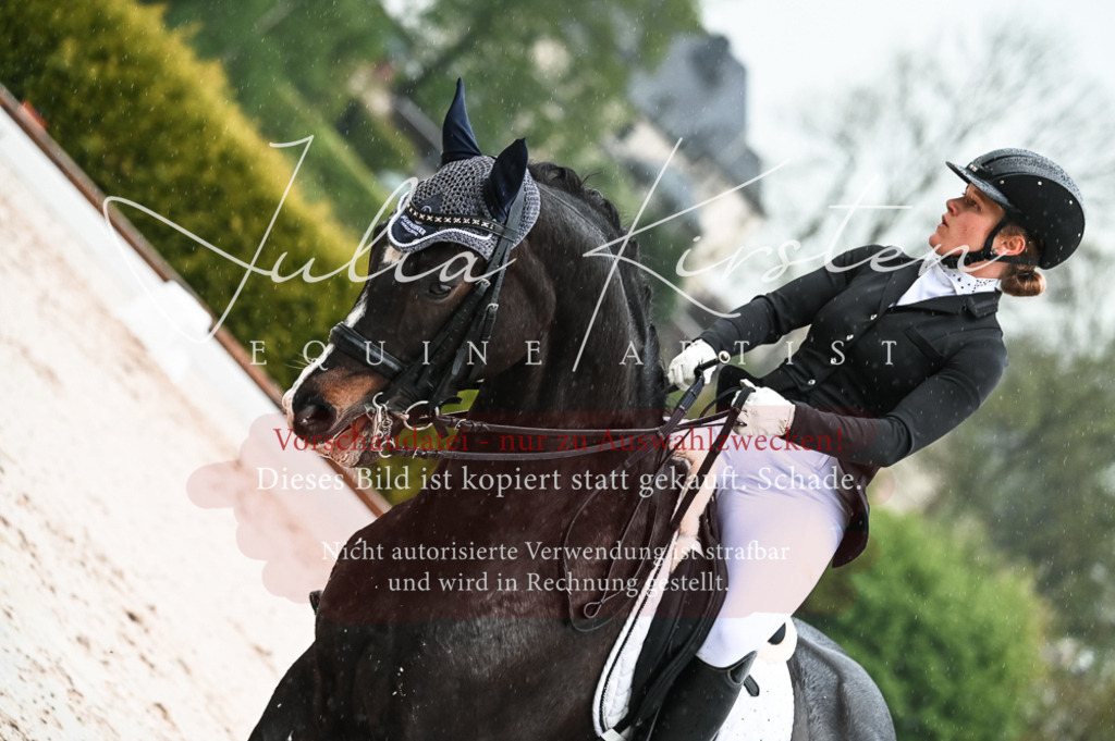 DSC_4508 | Pferde- und Turnierfotografie in Westsachsen. Pferdeportraits, Auftragszeichnungen und intuitive Kunst.