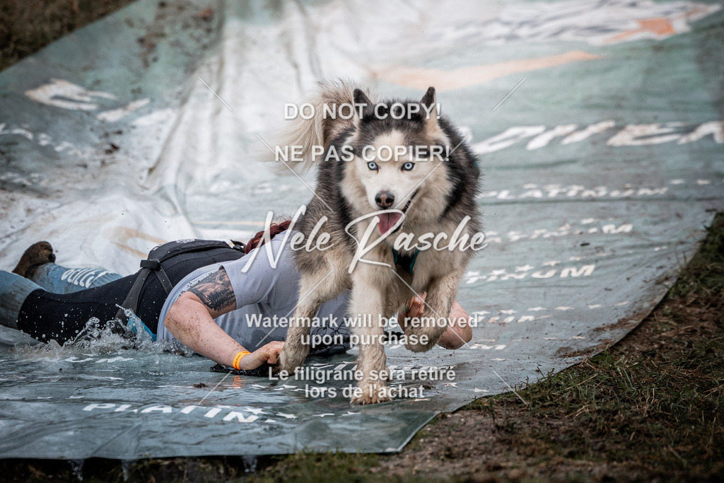 nelerasche_1130-1230_178 | nelerasche