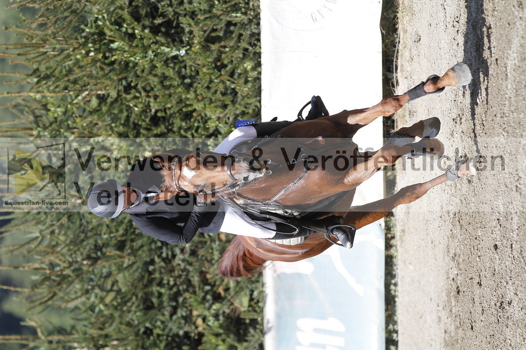 _MG_6667 | equestrian-live-com