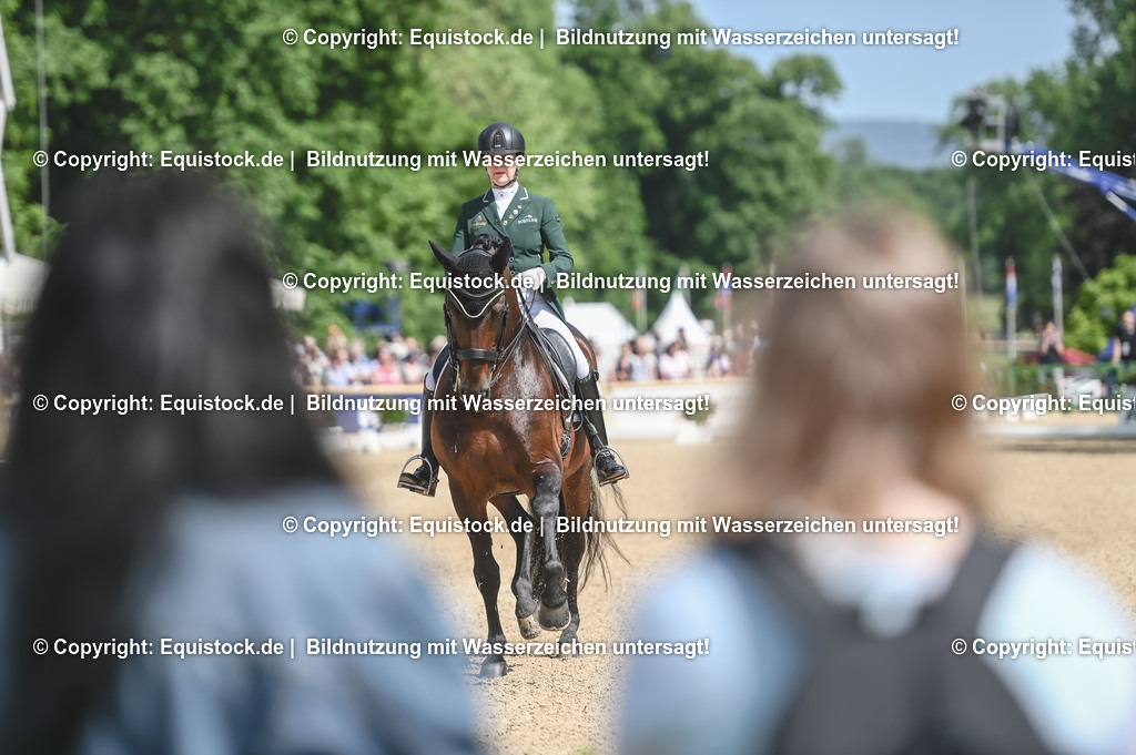 D78_2902 | equistock