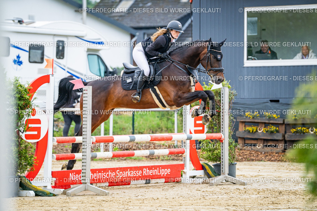 DSC01944 | Pferdegrafie