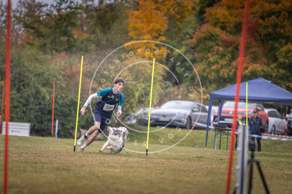 Pfotenfotografie_DV3A1209 | Hundefotografie, Tierfotograf, Pfotenfotografie, Fotoshooting Hund, Hunde Portrait, Hundesport, Hundeportraits, Heideshooting, Hunde, Sportfotograf, Hundefotograf, Turnierhundsport, THS,  - Realisiert mit Pictrs.com