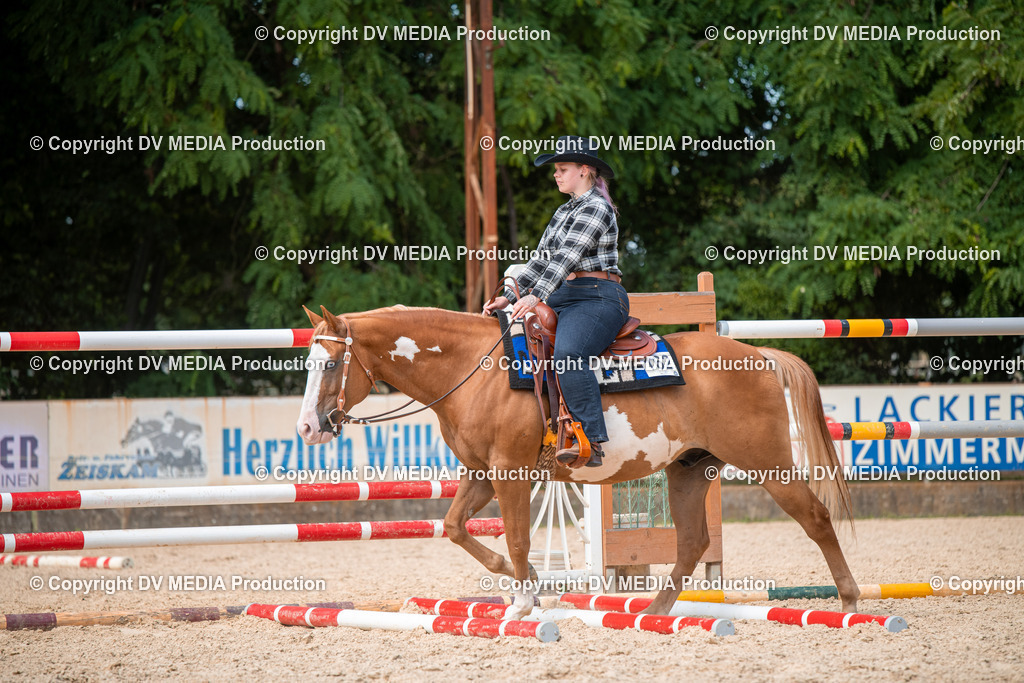 EWP_6749 | dv-media-shop - Realisiert mit Pictrs.com