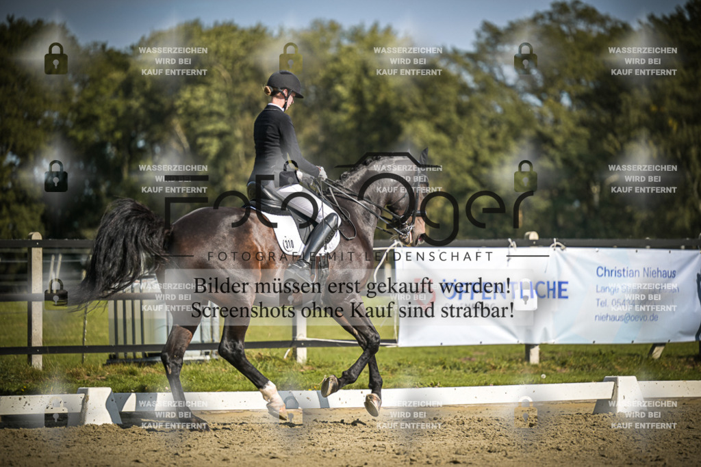 DOS_1898 | Entdecke hochwertige Reitturnierfotos von Foto Oger. Professionell, emotional und authentisch – jetzt Lieblingsmomente im Shop bestellen.Deutschlandweite Turnierfotografie. - Realisiert mit Pictrs.com