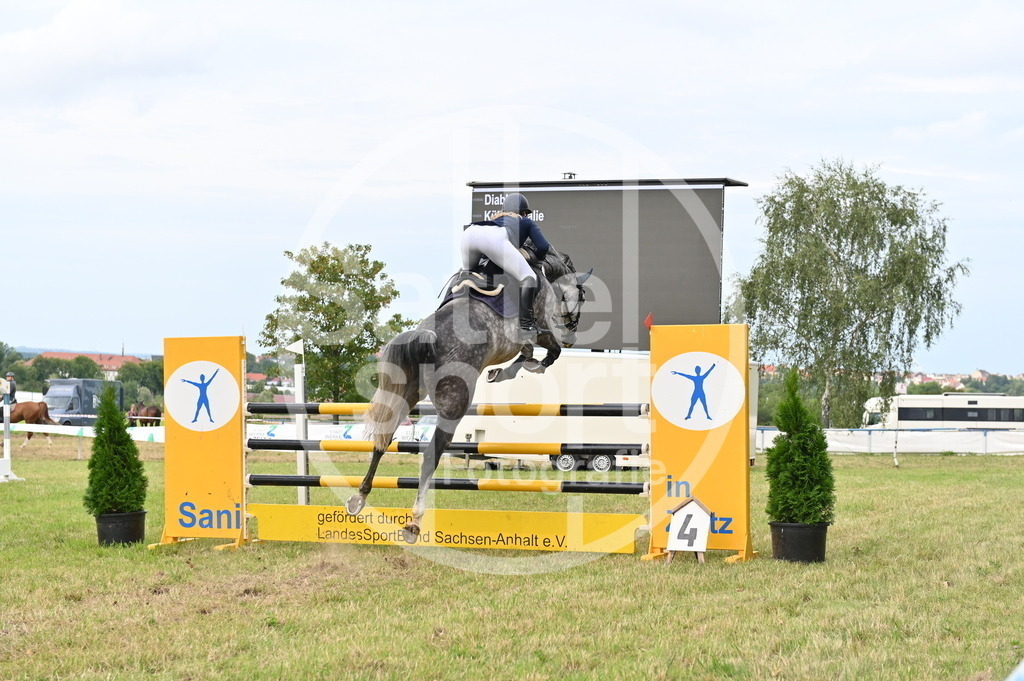 DSC_3853 | sattelsport - Realisiert mit Pictrs.com