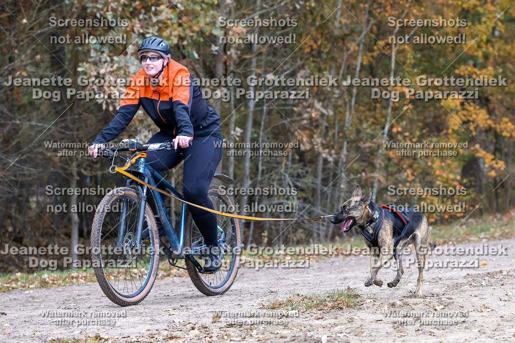 Dog Paparazzi - SD CaniX Championship 2025-596 | Dog Paparazzi Jeanette Grottendiek Fotografie & Videografie - Realisiert mit Pictrs.com