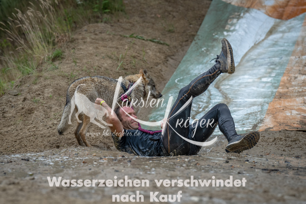 1649_ZZ90525-Bearbeitet | kk-dogfotos
