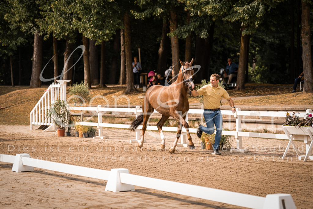 FrER00001 | Leoni Ertmer Photography - Realisiert mit Pictrs.com