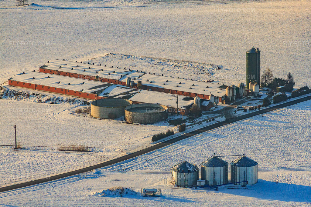 Aerial view: Pig fattening farm in winter with snow in Wintzenbach in the state Bas-Rhin, France. – Photo: IMG_36651.jpg taken on 01/05/2011 by Werner Riehm/FLY-FOTO.com – Resolution of the original: 4752 x 3168 px