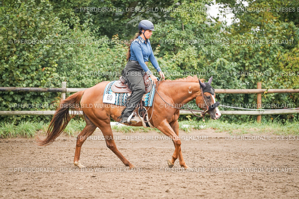 DSC02327 | Pferdegrafie