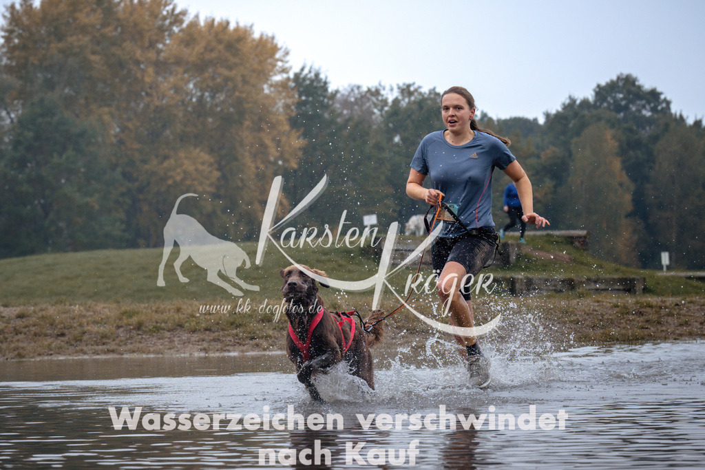 0906_ZZ94305 | kk-dogfotos