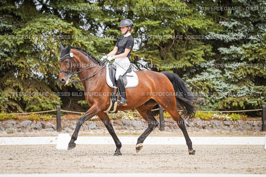 DSC06123 | Pferdegrafie