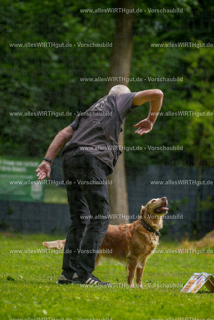 @allesWIRTHgut_Tierfotografie - www.allesWIRTHgut.de - 093301-7R507304 | Professionelle Tierfotografie in Mönchengladbach von Daniel Wirth (allesWIRTHgut). Liebevolle & natürliche Bilder von Hunden & Katzen für unvergessliche Erinnerungen.