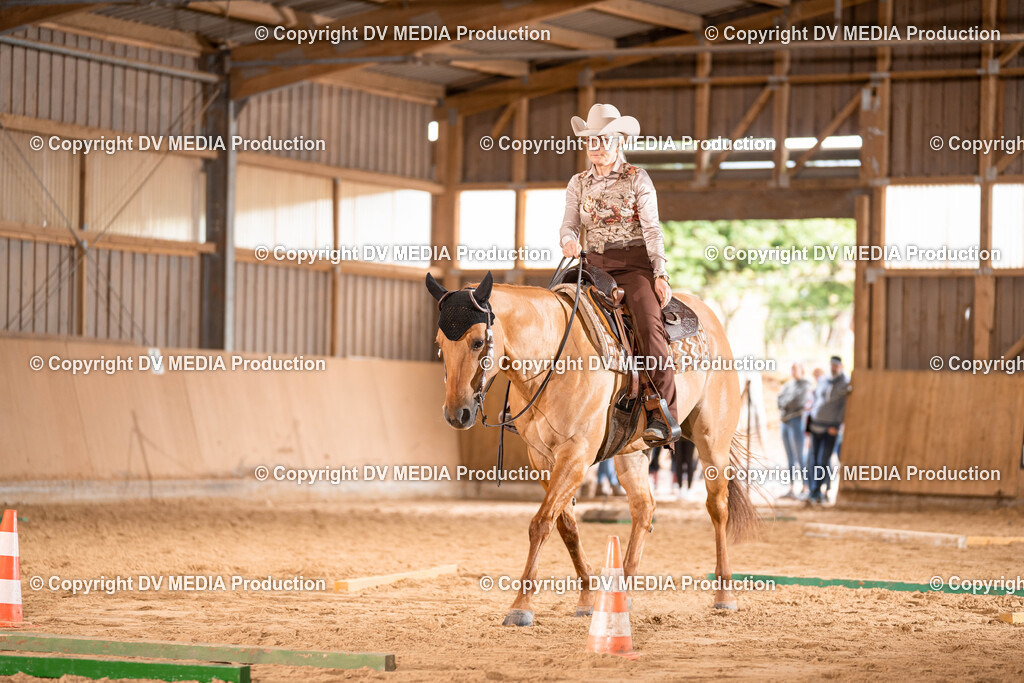 Losheim Tag 2-204 | dv-media-shop - Realisiert mit Pictrs.com