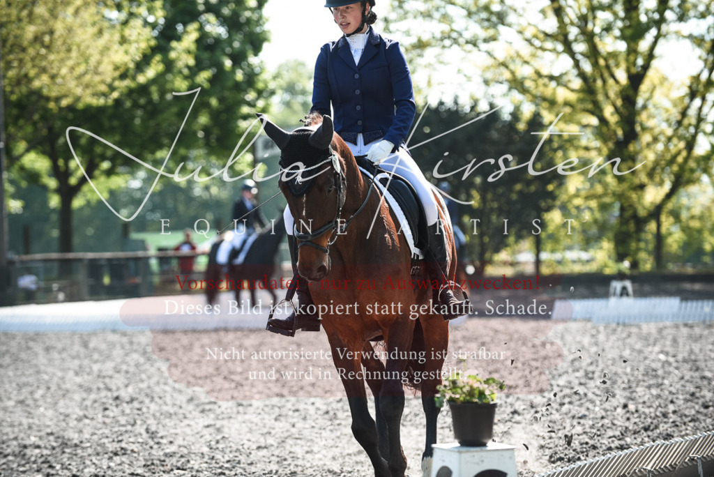 DSC_8788 | Pferde- und Turnierfotografie in Westsachsen. Pferdeportraits, Auftragszeichnungen und intuitive Kunst.