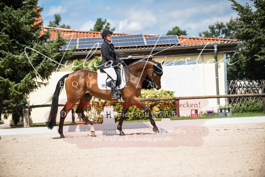 DSC_9030 | Pferde- und Turnierfotografie in Westsachsen. Pferdeportraits, Auftragszeichnungen und intuitive Kunst.