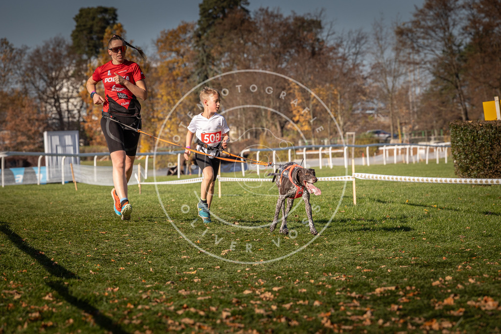 CaniXpix_0L8A6868 | Hundefotografie, Tierfotograf, Pfotenfotografie, Fotoshooting Hund, Hunde Portrait, Hundesport, Hundeportraits, Heideshooting, Hunde, Sportfotograf, Hundefotograf, Turnierhundsport, THS,  - Realisiert mit Pictrs.com