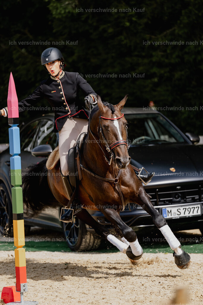 Virginie12FHC2025-3051 | working equitationturnier fotograf videograf stoibphotography marixx film working equitation deutschland reitsport turnierfotografie eventfotografie equestrian events