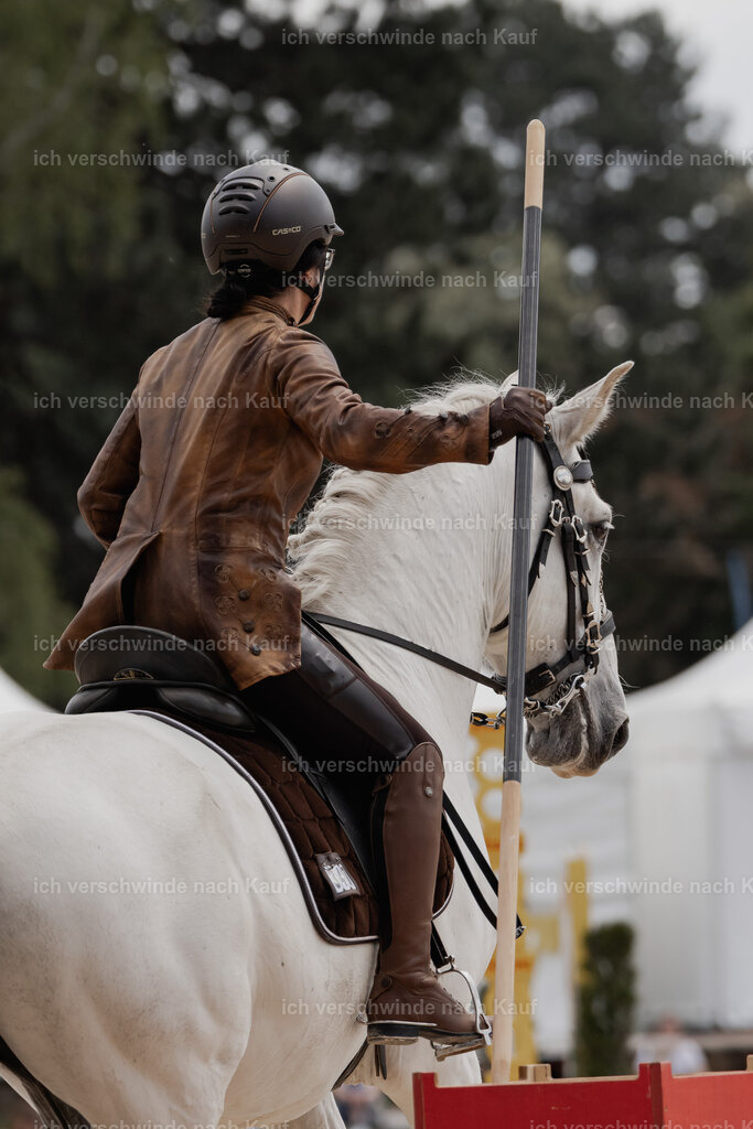 WE_ST_Stoib_347_PI2025_1043 | Pferd International München 2025