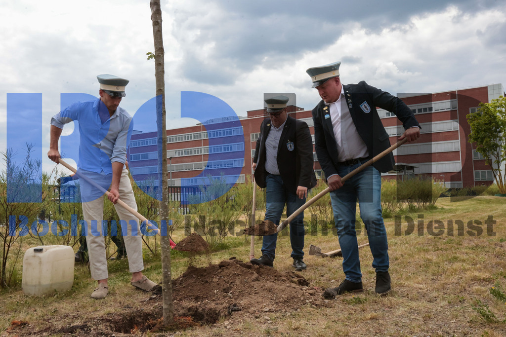 Eicheingrabung | Eicheingrabung - Realisiert mit Pictrs.com