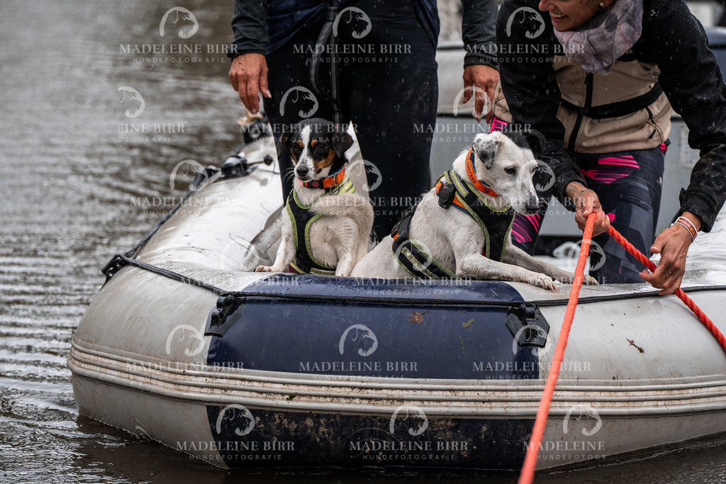 madeleinebirr-fotografie2025.campcanis.11-12Uhr-202 | hundefotografie-birr