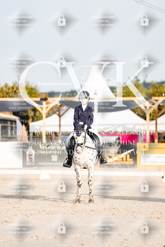 CK903733 | Turnierfotografie Pferdefotografie Trier Rheinland-Pfalz Pferdesport Reitsport Tierfotografie Sportfotografie Pferdevideo Pferdevideografie Equestrianvideography equestrianphotography  - Realisiert mit Pictrs.com