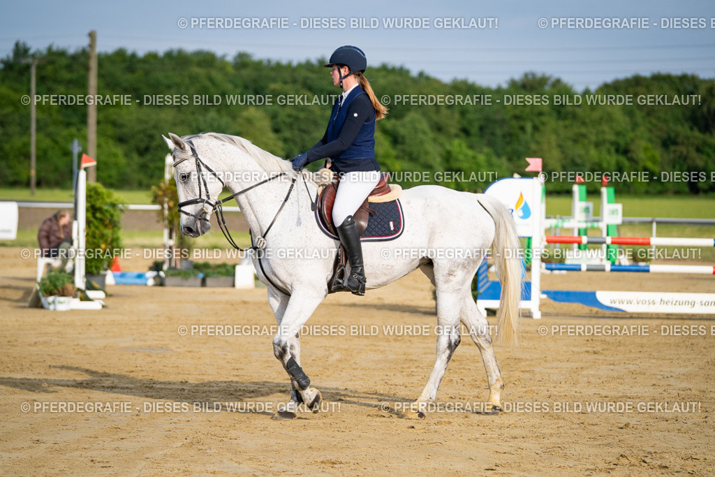 DSC02667 | Pferdegrafie