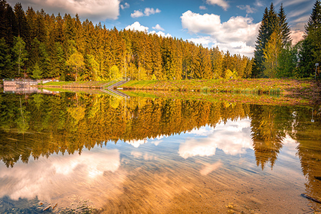 Wolken und Wald spiegeln sich im See | Professionelle Natur- & Landschaftsfotos als Poster, auf Leinwand & viele mehr. Wähle aus einer Vielzahl an Formaten & Materialien Dein perfektes Bild. - Realisiert mit Pictrs.com