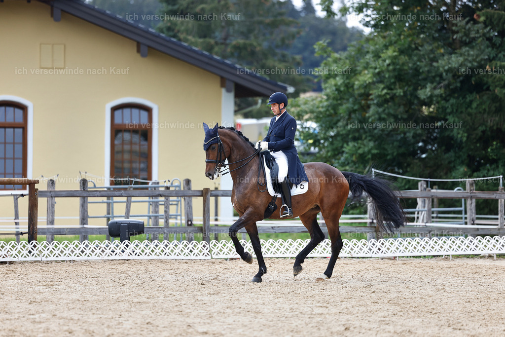 12-226-DRESSUR  S___  -StoibPH-5275 | working equitationturnier fotograf videograf stoibphotography marixx film working equitation deutschland reitsport turnierfotografie eventfotografie equestrian events