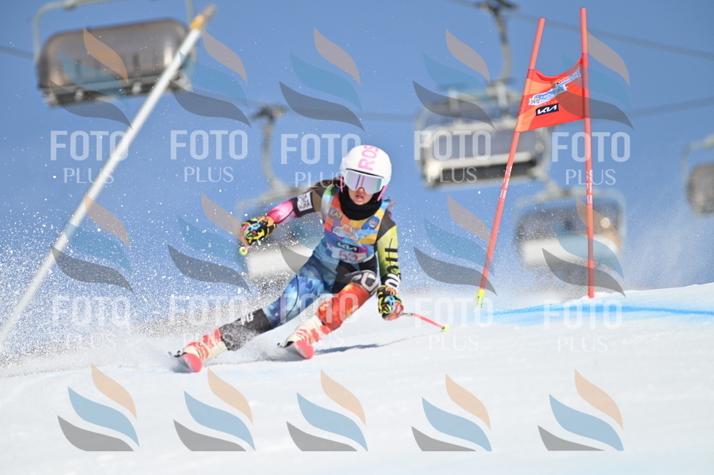 BGV_8587 | holidayphoto