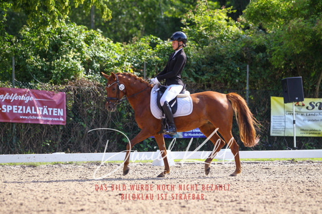 DKP43057 | Turnierfotos kaufen im Webshop von Daniel Kuhl Photography – entdecke professionelle Reitsportfotos aus Turnieren & Events. Hochwertige Turnierbilder online bestellen & sichern. Jetzt Fotos von Reitsportturnieren kaufen!