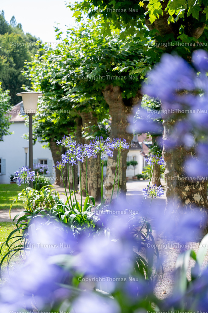 DSC_2608 | Der Staatspark Fürstenlager in Bensheim Auerbach, an der hessischen Bergstraße- ist ein wunderschöner Landschaftspark nach englischen Vorbild. Es war die Sommerresidenz der Darmstädter Fürstenfamilie die hier das "einfache Landleben" genossen. Zu jeder Jahreszeit kann man das Fürstenlager als Ausflugsziel empfehlen. Im Herrenhaus ist eine Gastronomie untergebracht. Im Sommer findet auf der Bühne vor der großen Wiese ein Opern-Air statt, 