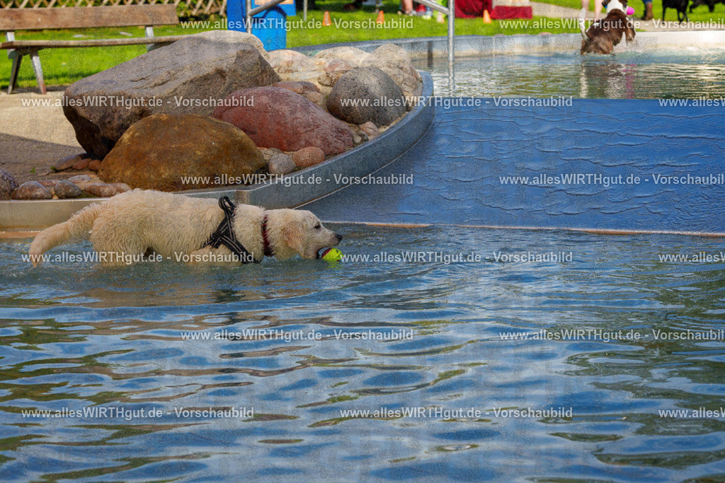 Hundeschwimmen_Grefrath_2026-allesWIRTHgut_Tierfotografie-13_02-FAY00478 | Professionelle Tierfotografie in Mönchengladbach von Daniel Wirth (allesWIRTHgut). Liebevolle & natürliche Bilder von Hunden & Katzen für unvergessliche Erinnerungen.