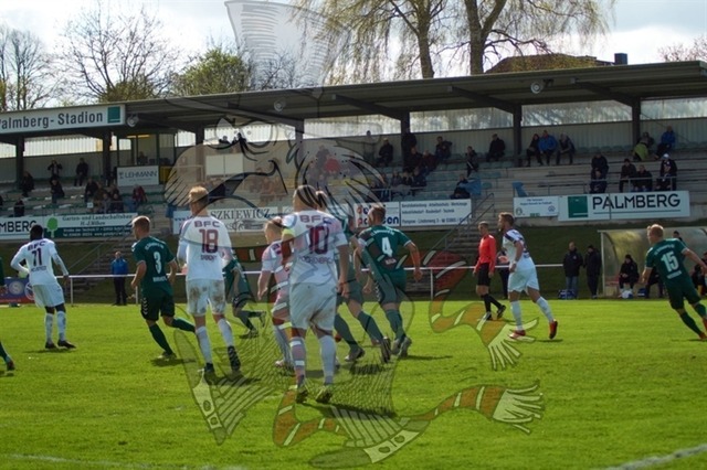 FC Schönberg 95 vs. BFC Dynamo 115 | mythos-online-redaktion