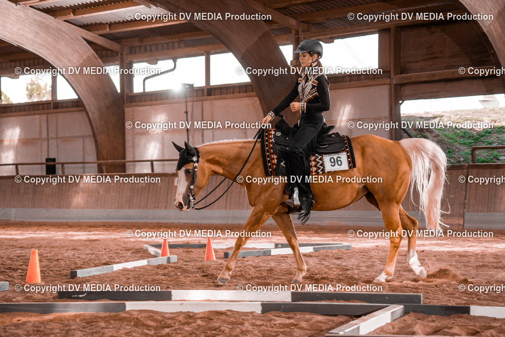 NE200246 | dv-media-shop - Realisiert mit Pictrs.com