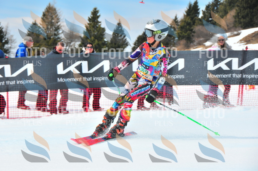 DSC_2461 | holidayphoto