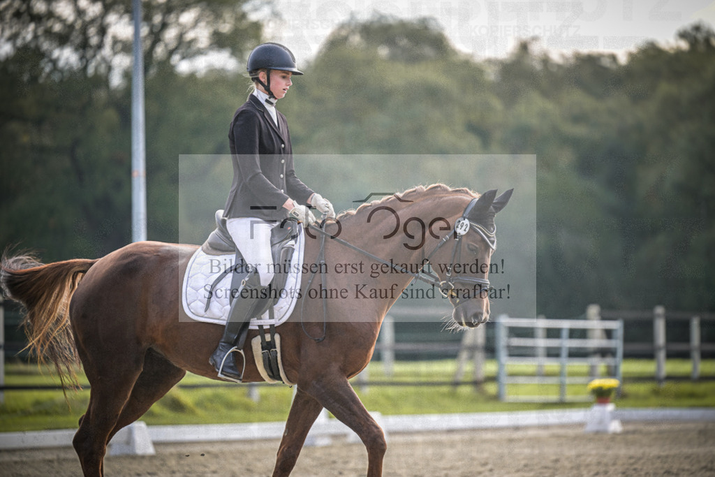 DOS_B107 | Entdecke hochwertige Reitturnierfotos von Foto Oger. Professionell, emotional und authentisch – jetzt Lieblingsmomente im Shop bestellen.Deutschlandweite Turnierfotografie. - Realisiert mit Pictrs.com