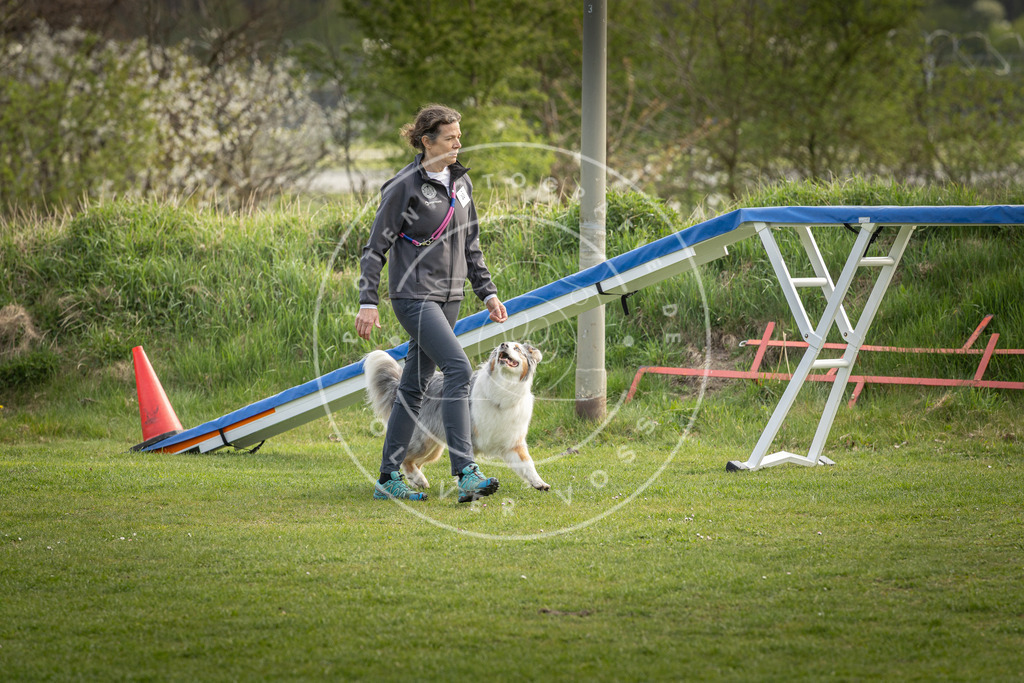 Pfotenfotografie_DV3A4902 | Hundefotografie, Tierfotograf, Pfotenfotografie, Fotoshooting Hund, Hunde Portrait, Hundesport, Hundeportraits, Heideshooting, Hunde, Sportfotograf, Hundefotograf, Turnierhundsport, THS,  - Realisiert mit Pictrs.com