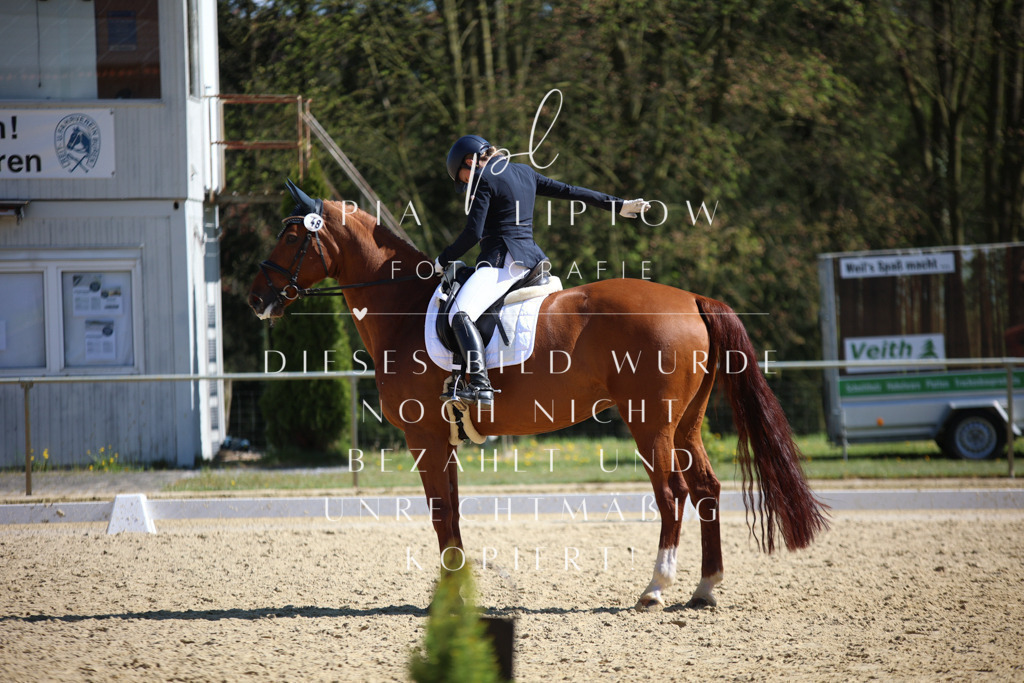 IMGT8231 | pl-fotografie