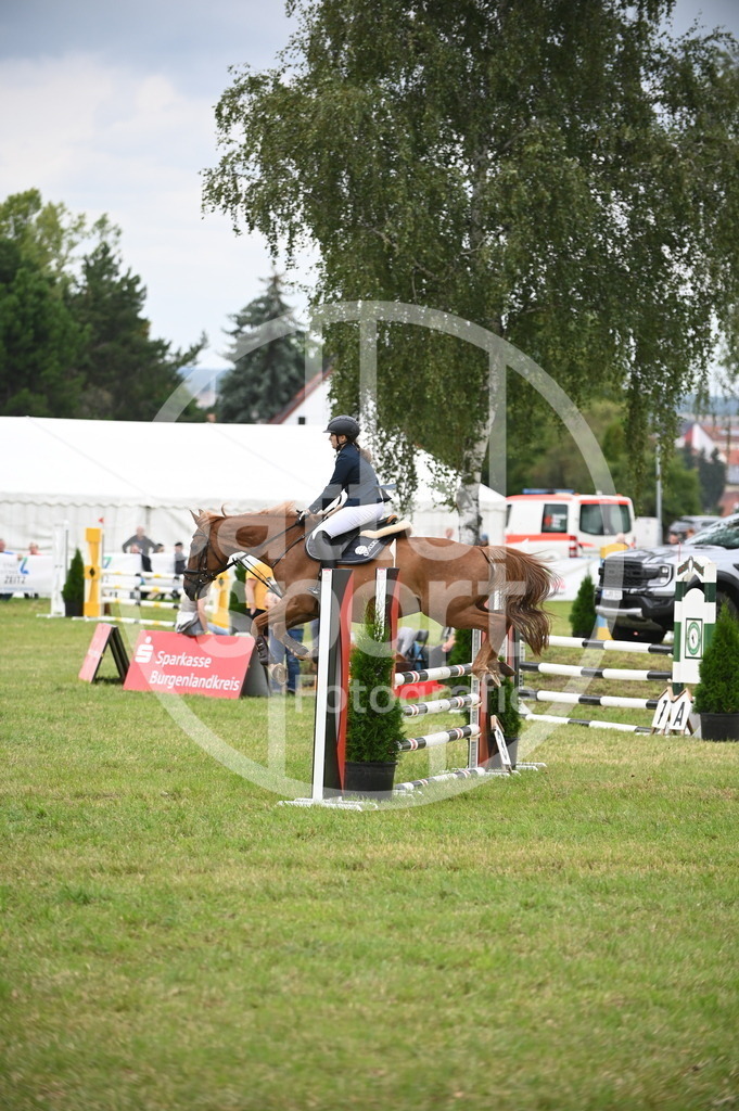 DSC_1265 | sattelsport - Realisiert mit Pictrs.com