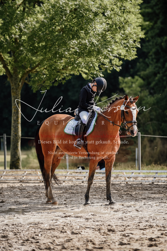 DSC_9193 | Pferde- und Turnierfotografie in Westsachsen. Pferdeportraits, Auftragszeichnungen und intuitive Kunst.