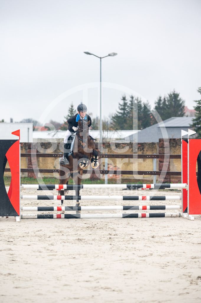 DSC_8454 | sattelsport - Realisiert mit Pictrs.com