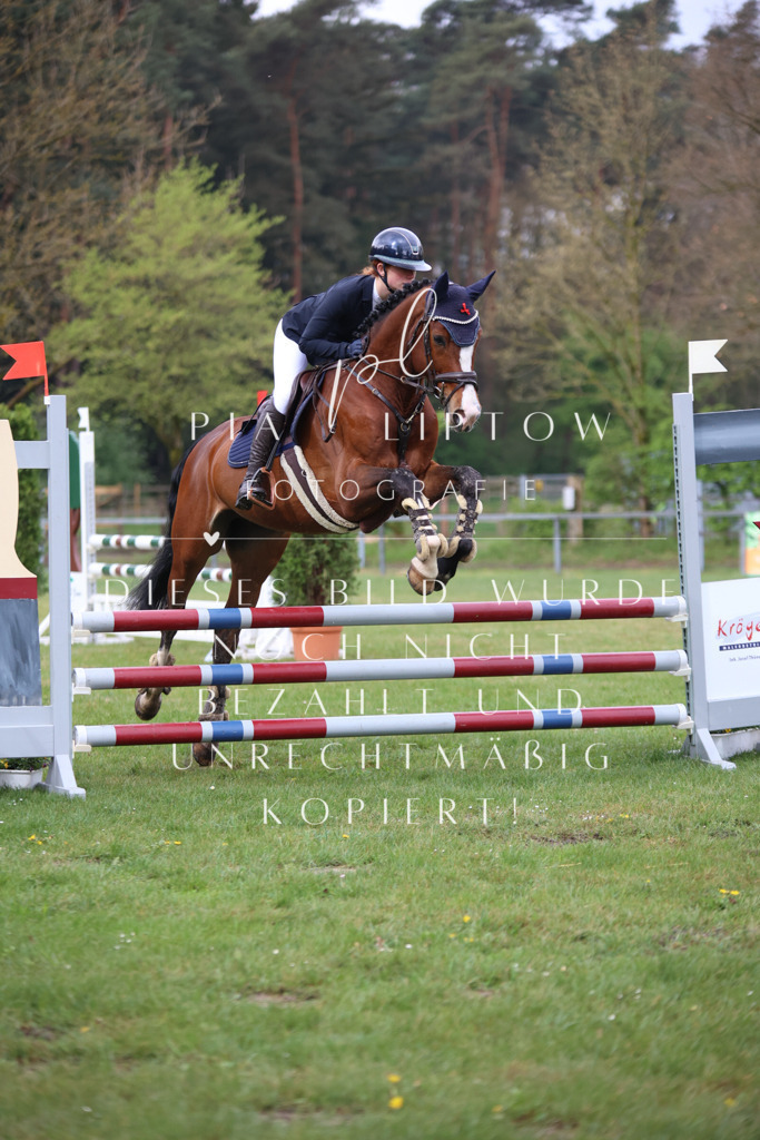 IMGT3190 | pl-fotografie