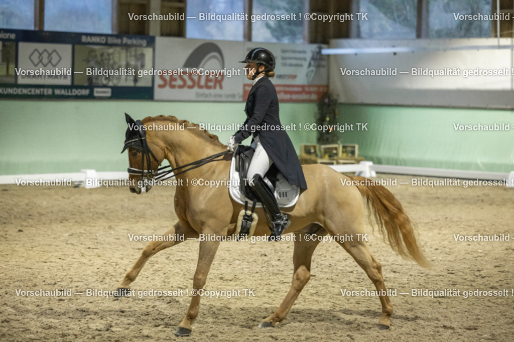 _D5A7250 | Emotionale Pferde- & People-Fotografie rund um Heidelberg, Leimen & Umgebung. Natürliche Fotos von Pferd, Mensch & Familie. Jetzt Termin sichern!